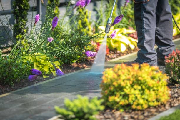 Trusted Reston, VA Pressure Washing Experts